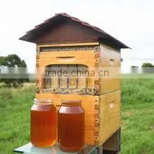 Automatic Honey Flow Beehive thumbnail-1