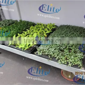 418 Grow Seedlings Trolley thumbnail-5