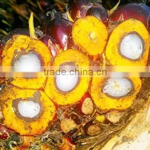 2017 Factory Supply CPO Crude Palm Fruit Sterilizer Tank for Palm Oil Press thumbnail-2