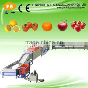 Fruit Grading Machine thumbnail-1