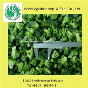 Frozen IQF Broccoli thumbnail-1