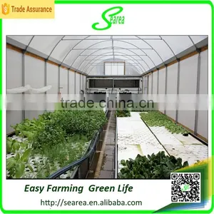 Plastic Covered Tunnels Greenhouses thumbnail-1