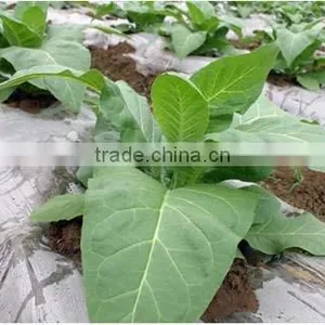 Agricultural PE Film thumbnail-1