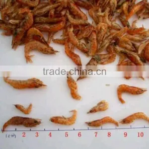 Amimal Feed Dried Shrimp Wholesale thumbnail-1