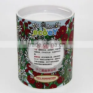 Fashion Twelve Constellations Lucky Flower Potted Plant -stars thumbnail-1