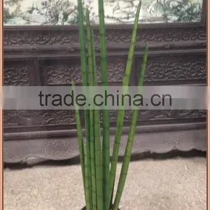 Artificial Succulent Sansevieria Cylindrica Plant thumbnail-1