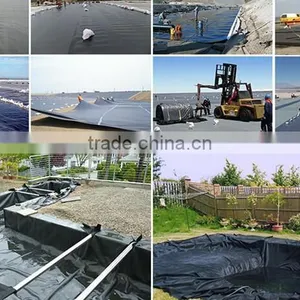 2mm Hdpe Geomembrane thumbnail-1