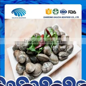 Wild Caught Frozen Baby Clam Half Shell thumbnail-1