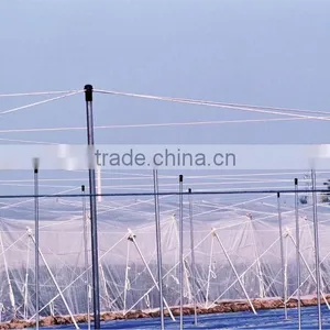 NET HOUSE thumbnail-2