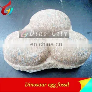 Exhibit Dinosaur Egg Model Dinosaur Egg Fossils thumbnail-3