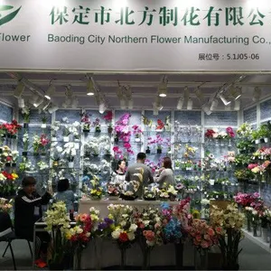 Baoding City Northern Flower Manufacturing Co., Ltd company overview - view 1 thumbnail