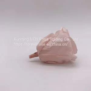Preserved Rose Flowers for Wedding Decoration Flower Arrangement thumbnail-4
