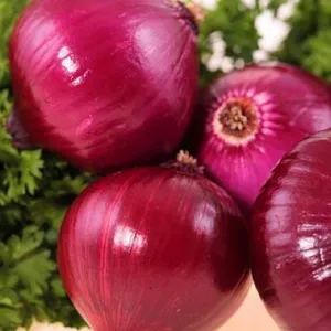 Wholesale Red Onion Fresh Onion Price Wholesale Prices Super Price thumbnail-4