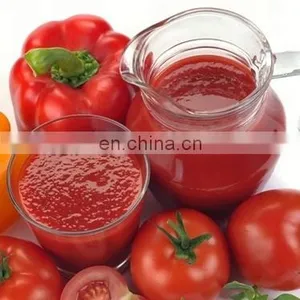 Tomato Sauce Production Line/equipment thumbnail-1