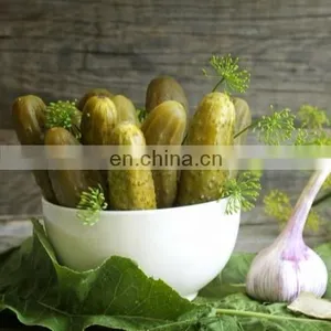 Automatic Canned Pickles and Pickled Cucumber Washing Canning Making Machine thumbnail-2