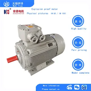 YFBX3 Dust Explosion-proof Motor thumbnail-3