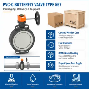 PVC-C Wafer Butterfly Valve Type 567 With Gear Box For Chemical And Industrial Pipeline thumbnail-5
