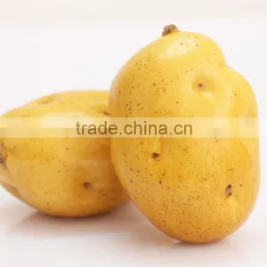 Lifelike Artifical Vegetable For Decoration thumbnail-1
