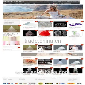 First-class Ecommerce Website Designer Website Designer and Website Designer thumbnail-6