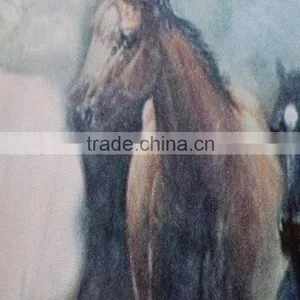 New Fashion Horse Design Printing Cotton Knit Fabric for t Shirt Clothing thumbnail-3