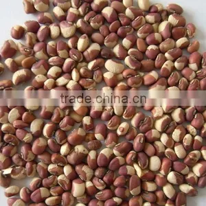 Red Kidney Beans thumbnail-1