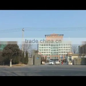 Shandong Hoteam Technology Group Co., Ltd. company overview - view 1 thumbnail