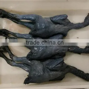 Halal Whole Frozen Chicken thumbnail-1