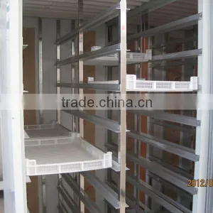 2013 Full Automation Wheat/Barley Seedling Machine thumbnail-1