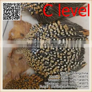 Chicken Feaether 20-25cm Jungle Cock For Selling thumbnail-1