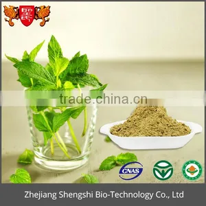 Best Price Optimal Level 100% Natural Wild Mint Herb Extract thumbnail-2