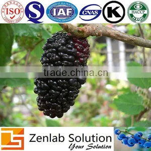 Mulberry Fruit Extract, Mulberry Fruit P.e, Mulberry Fruit Powder thumbnail-1