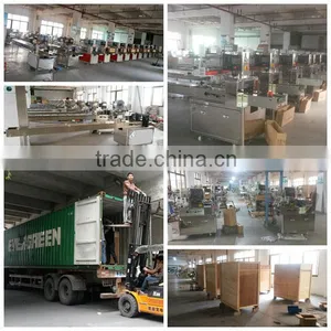 Gas Flush Automatic Horizontal Flow Packing Machine for Food thumbnail-2