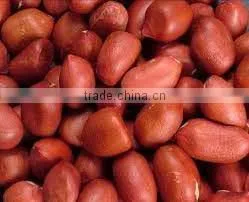 Bold Reddish Peanuts for Sales thumbnail-2