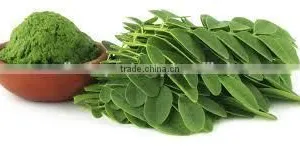 MORINGA POWDER/ NUTRITION FOOD thumbnail-4