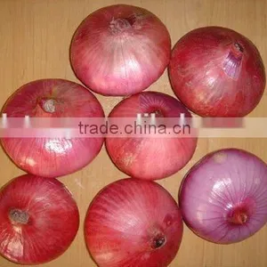 Chinese Red Onion Yellow Onion From Shandong thumbnail-5