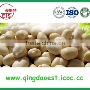 Good Quality Blanched Peanut Kernel Origin is Shandong Province thumbnail-3