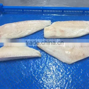 Frozen Brama Brama Fillet Boneless Top Quality thumbnail-1