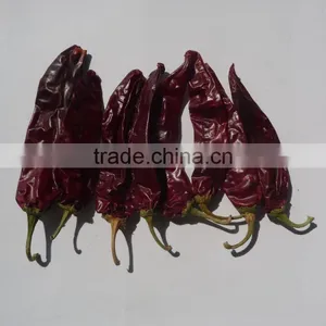 Chinese Manufacturer Supplier A Grade ISO, HACCP, HALAL Certification 80-240 Asta Hot Selling Red Sweet Pepper Chilli thumbnail-2