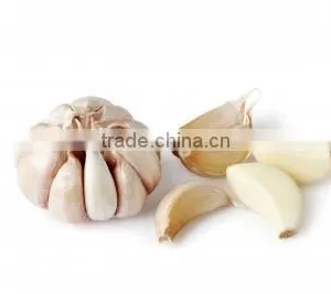 New Style Automatic Electric Normal Garlic Shallot Skin Removing Peeler Peeling Machine thumbnail-6