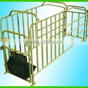 Pig Raising Equipment thumbnail-6