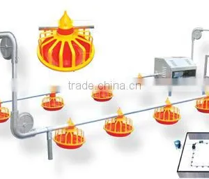 Best Poultry Breeder Chain Feeding System thumbnail-1