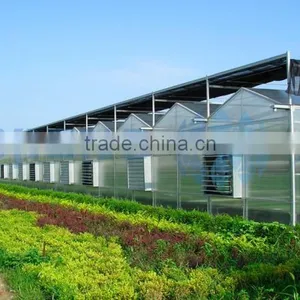 Greenhouse Film Plastic thumbnail-1