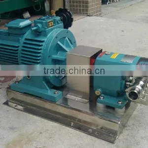 Sanitary Rotor Pump for Ketchup and Tomato Sauce thumbnail-1