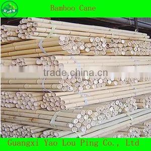 China River Fence Bamboo Canes thumbnail-1