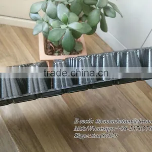 128 Cell Black PS Plastic Horticulture Plant Nursery Seed Starting Tray Manufactory Price thumbnail-6