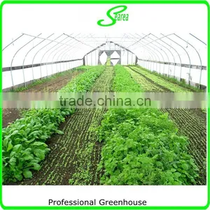 Tunnel Farming Greenhouse for Agriculture thumbnail-4