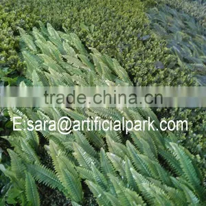 Plastic Garden Walls,vertical Green Wall thumbnail-3