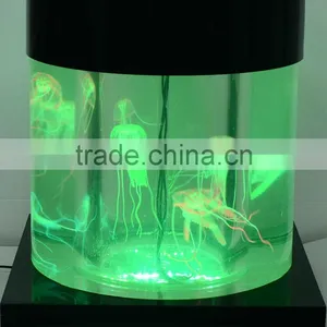 New Products Traditional Mini Aquariums for Fish Tank, Fish Home Aquarium thumbnail-4