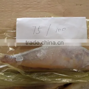 Frozen Yellow Croaker 75/100 G/pc thumbnail-3