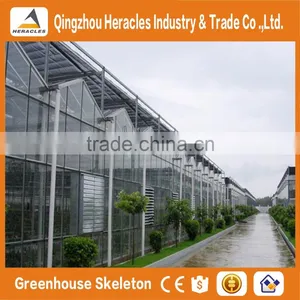 Heracles Trade Assurance Greenhouse Hydroponica thumbnail-2